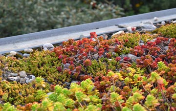 the cost of Whitland green roof installation