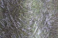 Whitland fibreglass roof work